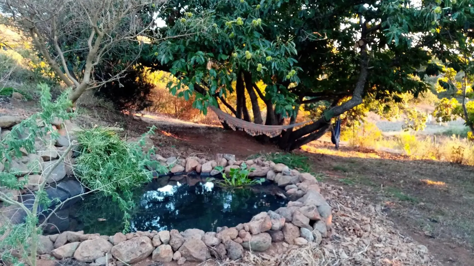 Finca Caboquitos Garafia Apartment